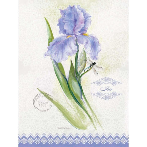 Flower Study on Lace VII White Modern Wood Framed Art Print by Della-Piana, Elissa