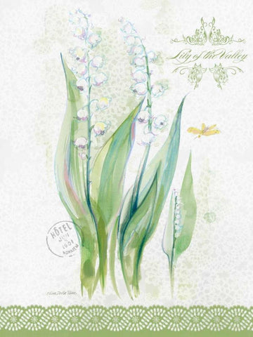 Flower Study on Lace IX White Modern Wood Framed Art Print with Double Matting by Della-Piana, Elissa