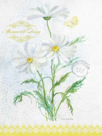Flower Study on Lace X White Modern Wood Framed Art Print with Double Matting by Della-Piana, Elissa