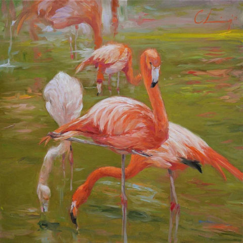 Flamingo I Black Modern Wood Framed Art Print with Double Matting by Larivey, Chuck