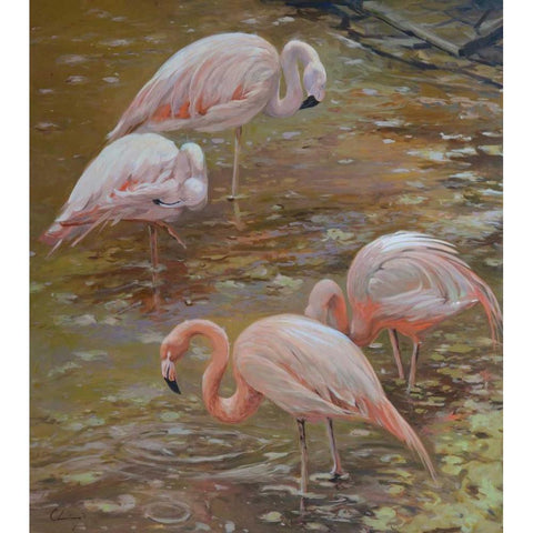 Pink Passion White Modern Wood Framed Art Print by Larivey, Chuck