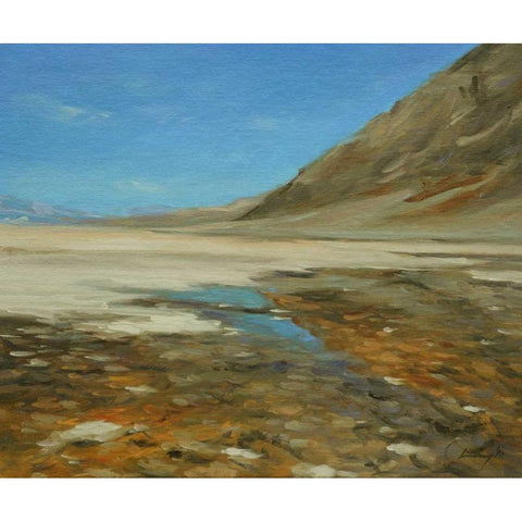 Badwater Basin, Death Valley Black Modern Wood Framed Art Print with Double Matting by Larivey, Chuck