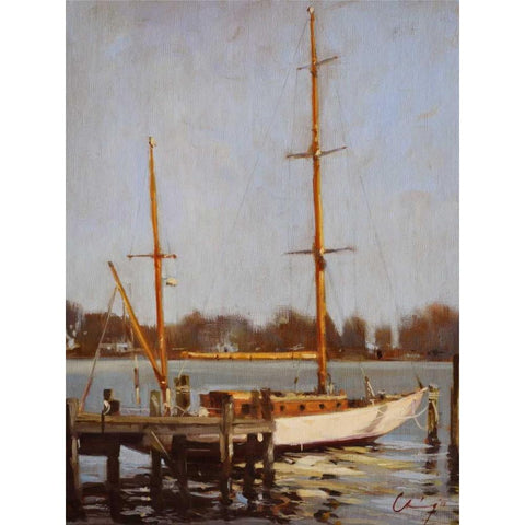 Ivory Falcon at Rest Black Modern Wood Framed Art Print by Larivey, Chuck