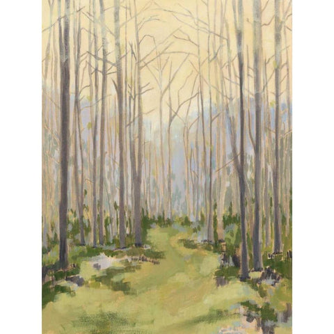 Delicate Forest I Black Modern Wood Framed Art Print with Double Matting by Meagher, Megan