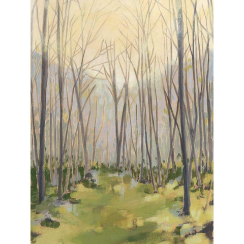 Delicate Forest II Black Modern Wood Framed Art Print by Meagher, Megan