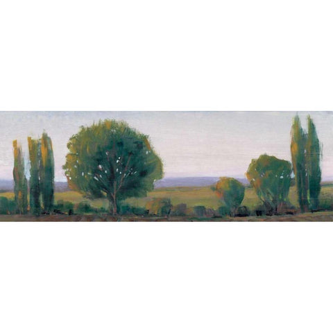 Panoramic Treeline I Gold Ornate Wood Framed Art Print with Double Matting by OToole, Tim