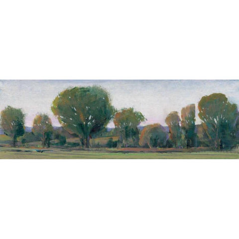 Panoramic Treeline II White Modern Wood Framed Art Print by OToole, Tim