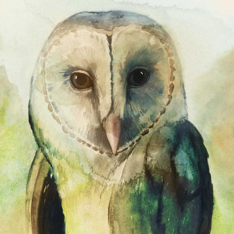 Harlequin Hibou I Black Ornate Wood Framed Art Print with Double Matting by Popp, Grace