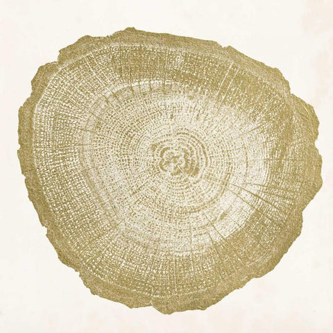 Tree Ring IV White Modern Wood Framed Art Print by Vision Studio