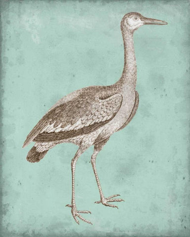 Sepia and Spa Heron I White Modern Wood Framed Art Print with Double Matting by Vision Studio