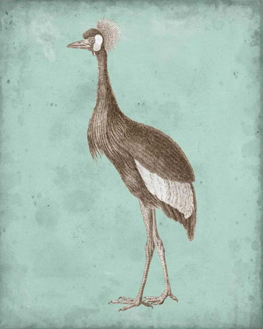 Sepia and Spa Heron II Black Ornate Wood Framed Art Print with Double Matting by Vision Studio