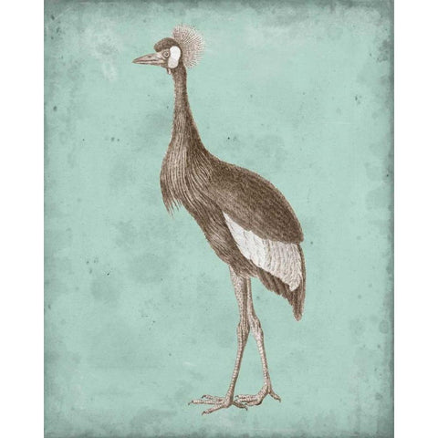 Sepia and Spa Heron II Gold Ornate Wood Framed Art Print with Double Matting by Vision Studio