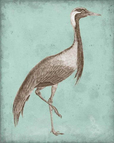 Sepia and Spa Heron III White Modern Wood Framed Art Print with Double Matting by Vision Studio