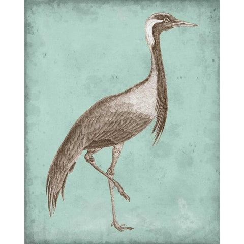 Sepia and Spa Heron III Black Modern Wood Framed Art Print with Double Matting by Vision Studio
