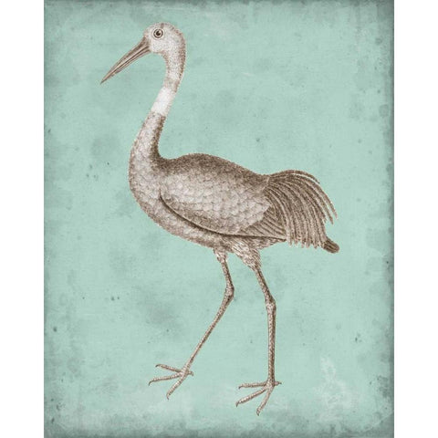Sepia and Spa Heron IV Black Modern Wood Framed Art Print with Double Matting by Vision Studio