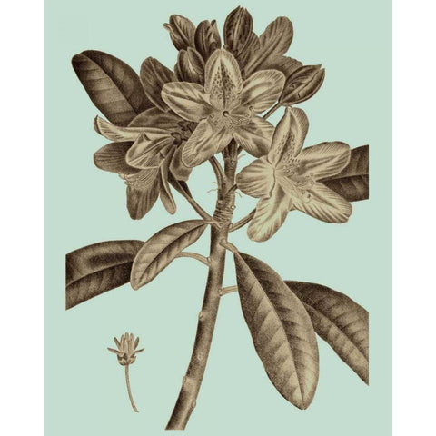 Flowering Trees IV Black Modern Wood Framed Art Print by Vision Studio