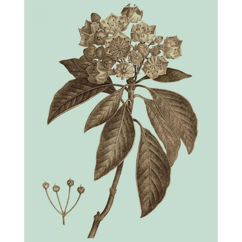 Flowering Trees V Gold Ornate Wood Framed Art Print with Double Matting by Vision Studio