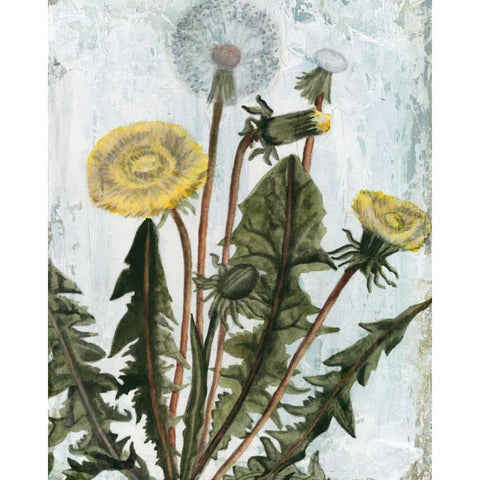 Dandelion Patina II Gold Ornate Wood Framed Art Print with Double Matting by McCavitt, Naomi