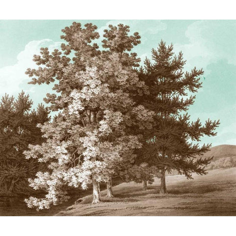 Serene Trees I Gold Ornate Wood Framed Art Print with Double Matting by Kennion, Edward