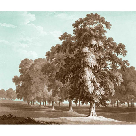 Serene Trees II White Modern Wood Framed Art Print by Kennion, Edward