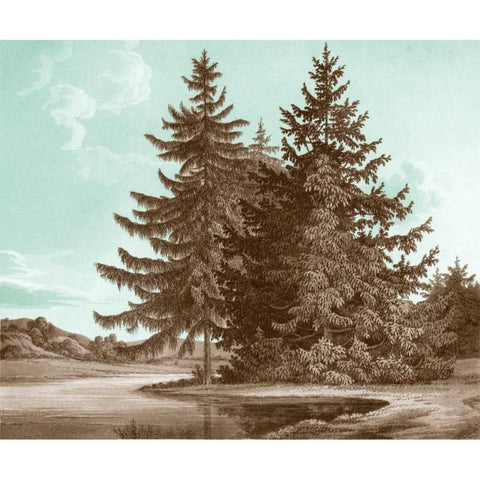 Serene Trees III White Modern Wood Framed Art Print by Kennion, Edward