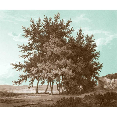 Serene Trees IV Black Modern Wood Framed Art Print by Kennion, Edward
