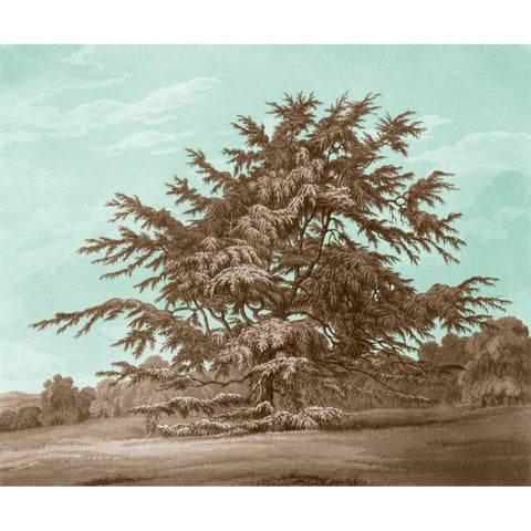 Serene Trees VI Black Modern Wood Framed Art Print by Kennion, Edward