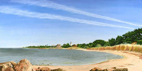 Contrails I Black Ornate Wood Framed Art Print with Double Matting by Miller, Dianne