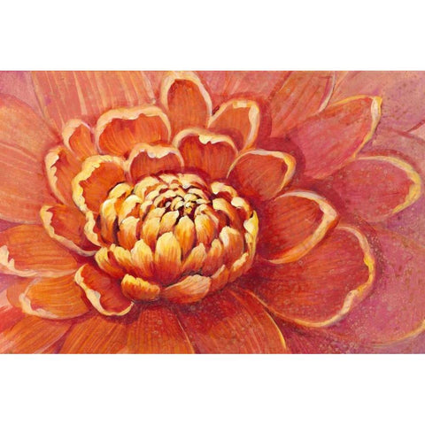 Micro Floral II Gold Ornate Wood Framed Art Print with Double Matting by OToole, Tim