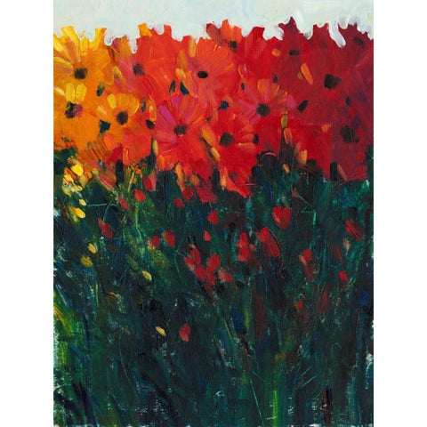 Color Spectrum Flowers I Black Modern Wood Framed Art Print with Double Matting by OToole, Tim