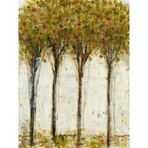 Apple Orchard I White Modern Wood Framed Art Print by OToole, Tim