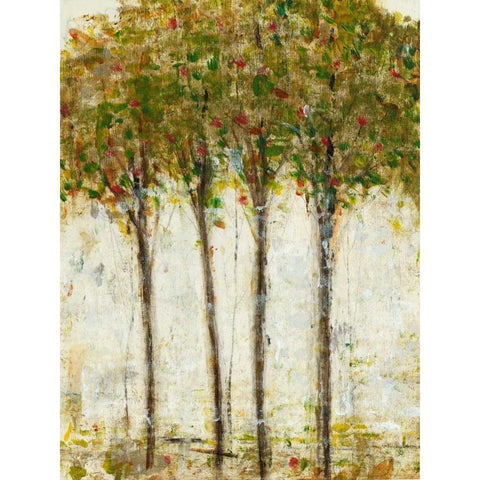 Apple Orchard II White Modern Wood Framed Art Print by OToole, Tim