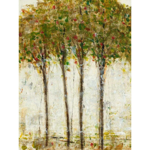 Apple Orchard II Black Modern Wood Framed Art Print with Double Matting by OToole, Tim