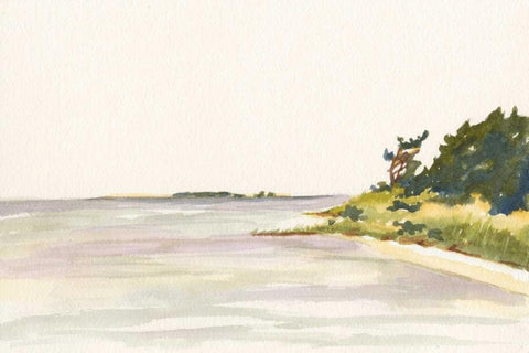 Solitary Coastline I White Modern Wood Framed Art Print with Double Matting by Miller, Dianne