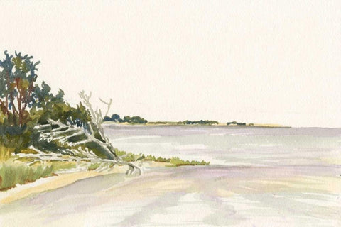 Solitary Coastline II Black Ornate Wood Framed Art Print with Double Matting by Miller, Dianne