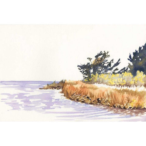 Solitary Coastline III White Modern Wood Framed Art Print by Miller, Dianne