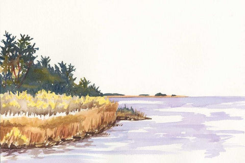 Solitary Coastline IV Black Ornate Wood Framed Art Print with Double Matting by Miller, Dianne