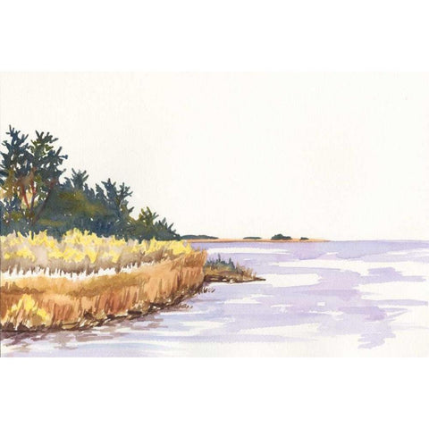 Solitary Coastline IV Black Modern Wood Framed Art Print with Double Matting by Miller, Dianne