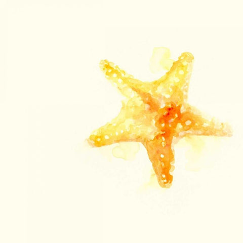 Tidal Impressions III Black Modern Wood Framed Art Print with Double Matting by Vess, June Erica