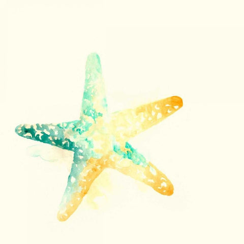 Tidal Impressions IV Black Modern Wood Framed Art Print with Double Matting by Vess, June Erica