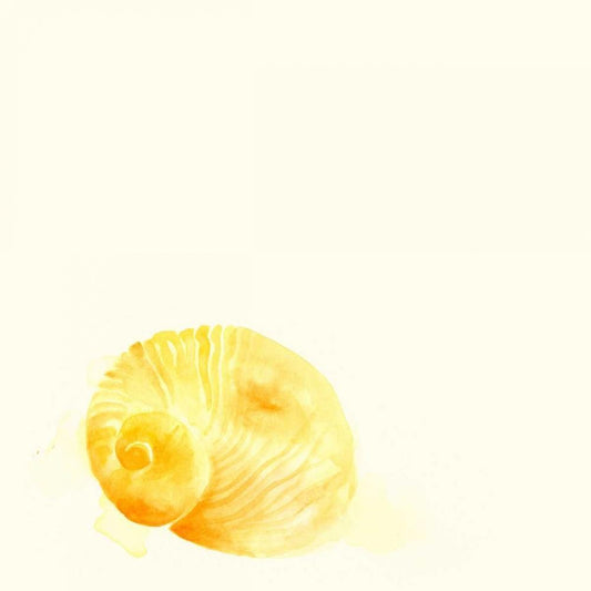 Image Only