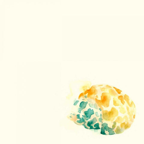 Tidal Impressions IX Gold Ornate Wood Framed Art Print with Double Matting by Vess, June Erica