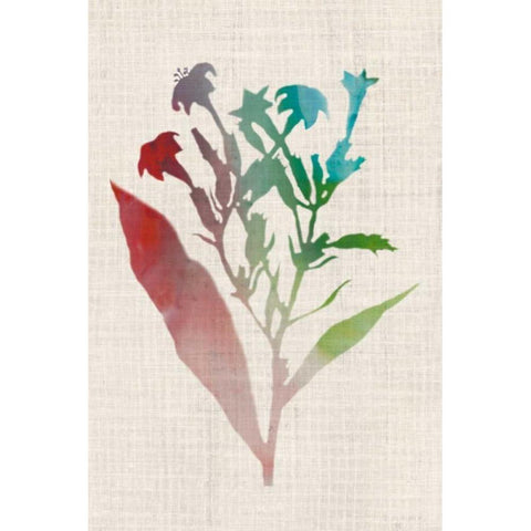 Watercolor Plants II White Modern Wood Framed Art Print by McCavitt, Naomi