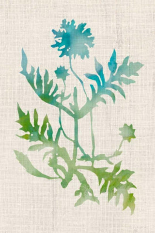 Watercolor Plants III White Modern Wood Framed Art Print with Double Matting by McCavitt, Naomi