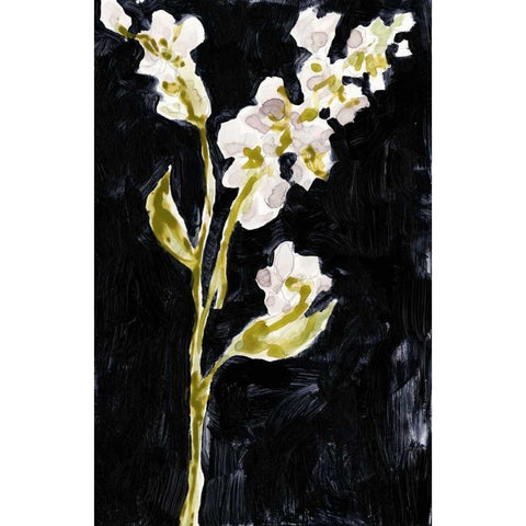 Midnight Phlox II Black Modern Wood Framed Art Print with Double Matting by Goldberger, Jennifer