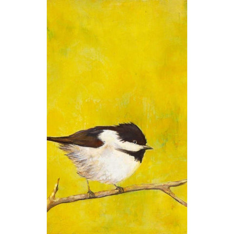 Perch I White Modern Wood Framed Art Print by Altug, Mehmet