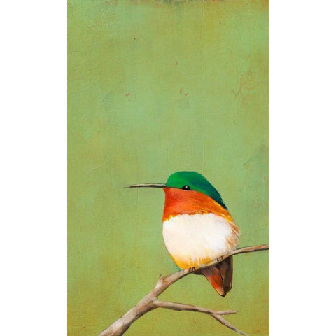 Perch III Black Modern Wood Framed Art Print with Double Matting by Altug, Mehmet
