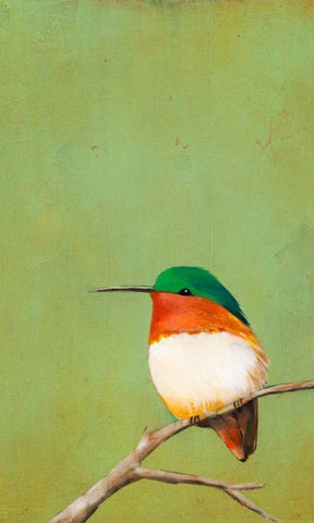 Perch III White Modern Wood Framed Art Print with Double Matting by Altug, Mehmet