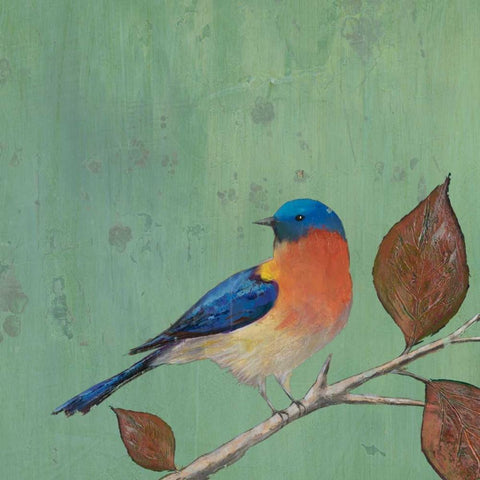 Resting Bird II White Modern Wood Framed Art Print by Altug, Mehmet