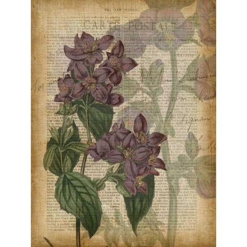 Fuchsia Flowers II Gold Ornate Wood Framed Art Print with Double Matting by Studio W